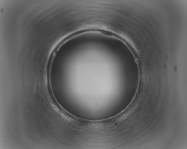 X0000078290888200611101105