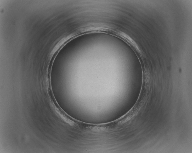 X0000078290890200611101105