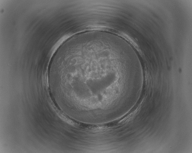 X0000078290891200611101105