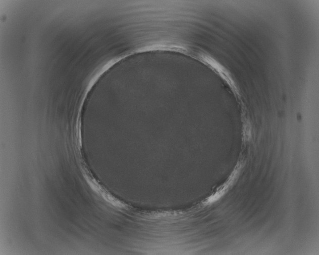 X0000078290892200611101105