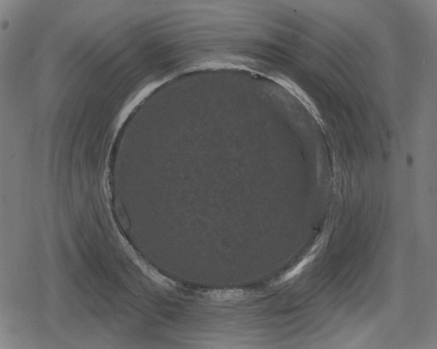 X0000078290893200611101105