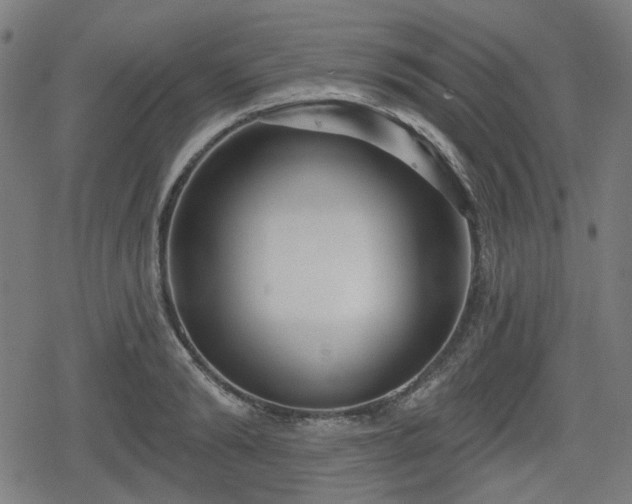 X0000078290894200611101105