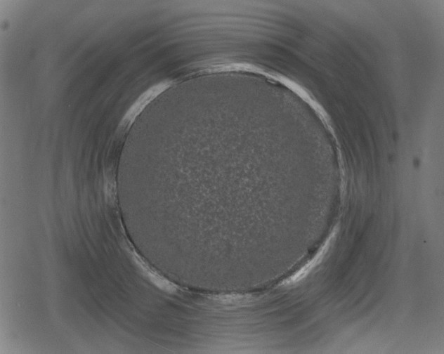 X0000078290897200611101105