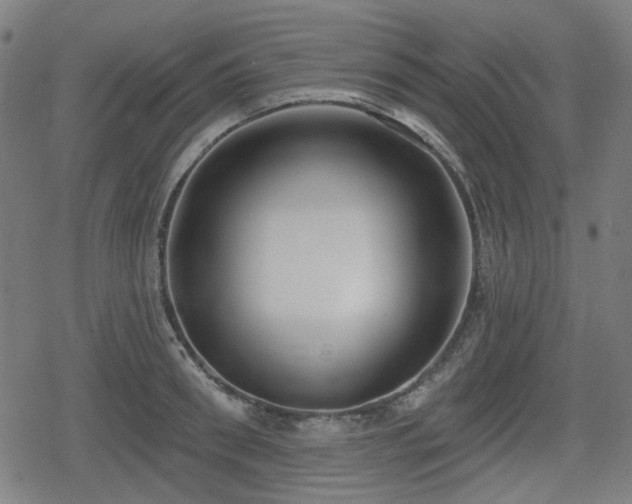 X0000078290898200611101105