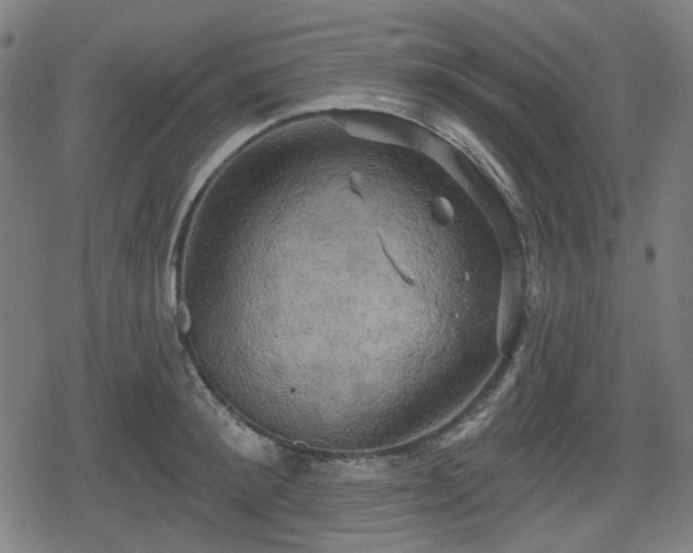 X0000078290900200611101105