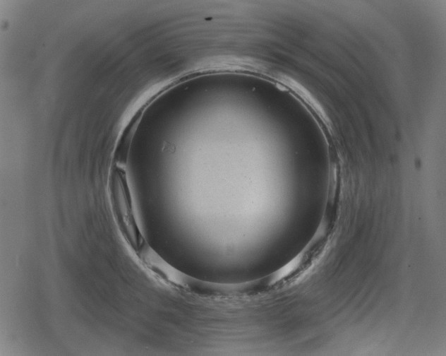 X0000078290901200611101105