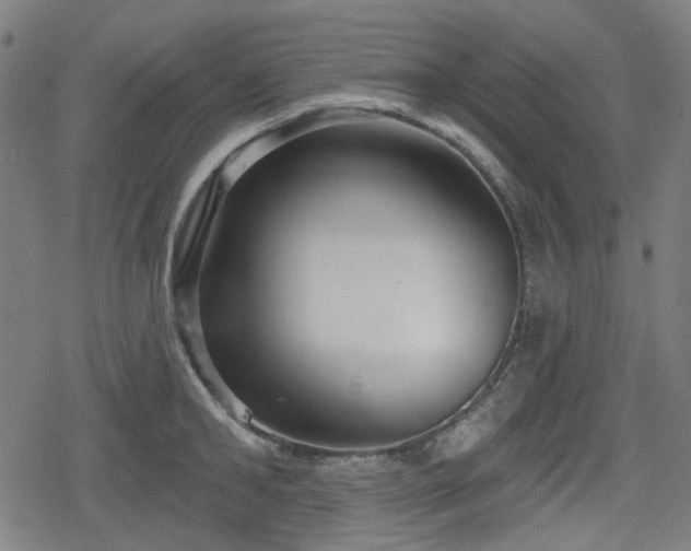 X0000078290902200611101105