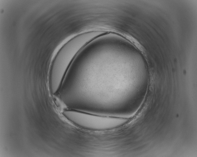 X0000078290904200611101105