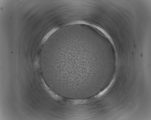 X0000078290905200611101105