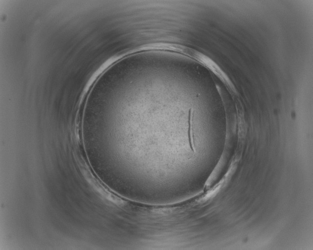 X0000078290908200611101105