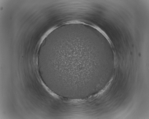 X0000078290909200611101105