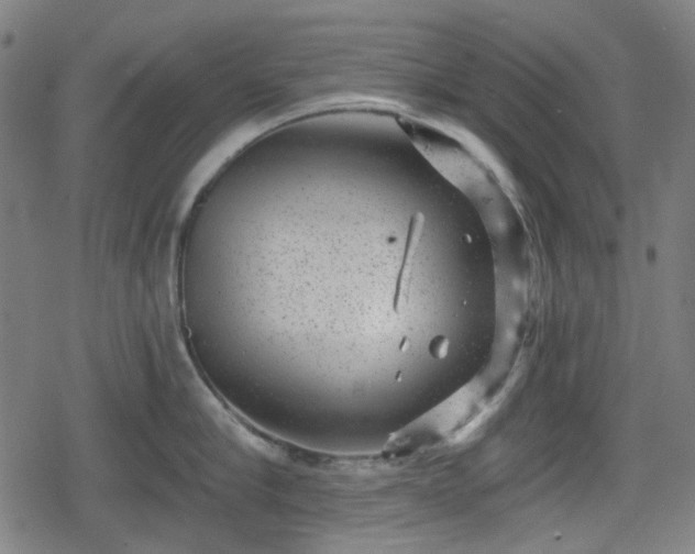 X0000078290910200611101105