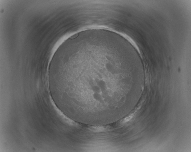 X0000078290911200611101105