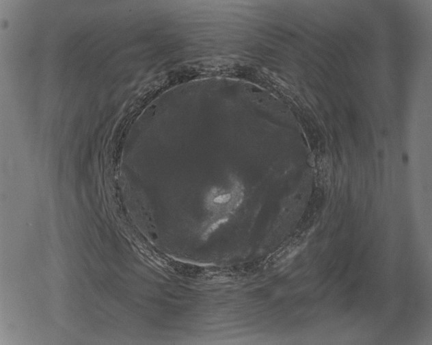 X0000078290913200611101104