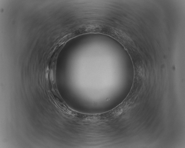 X0000078290914200611101104