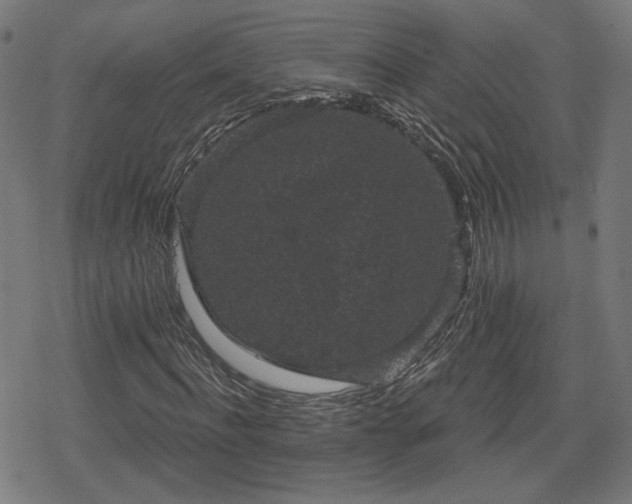 X0000078290916200611101104