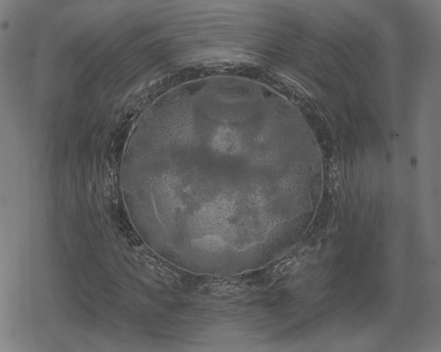 X0000078290917200611101104