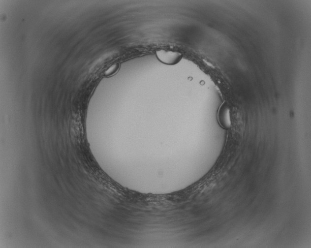 X0000078290918200611101104