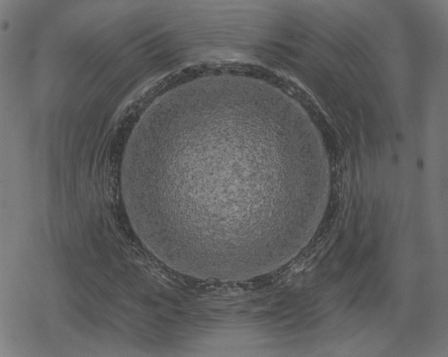 X0000078290919200611101104