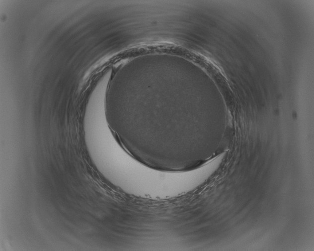 X0000078290920200611101104