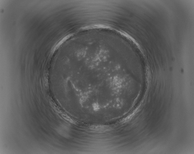 X0000078290921200611101104