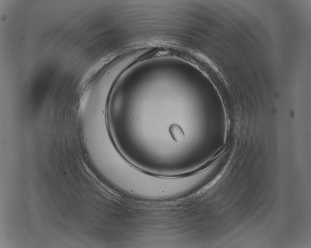 X0000078290922200611101104