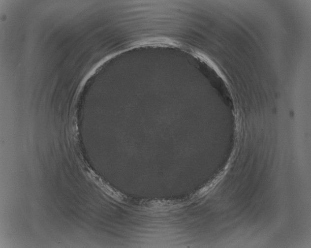 X0000078290923200611101104