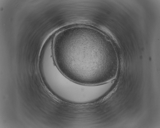 X0000078290924200611101104