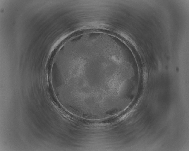 X0000078290925200611101104