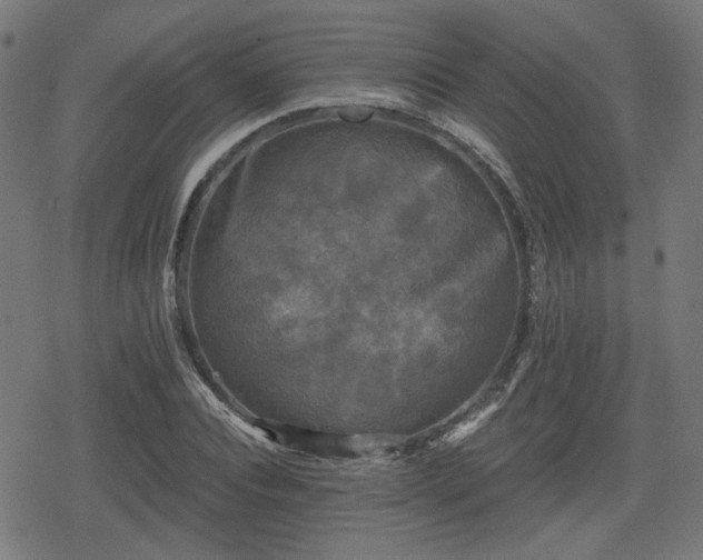 X0000078290928200611101104