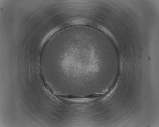 X0000078290930200611101104