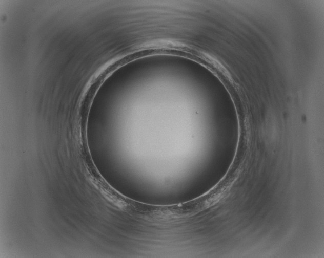 X0000078290931200611101104