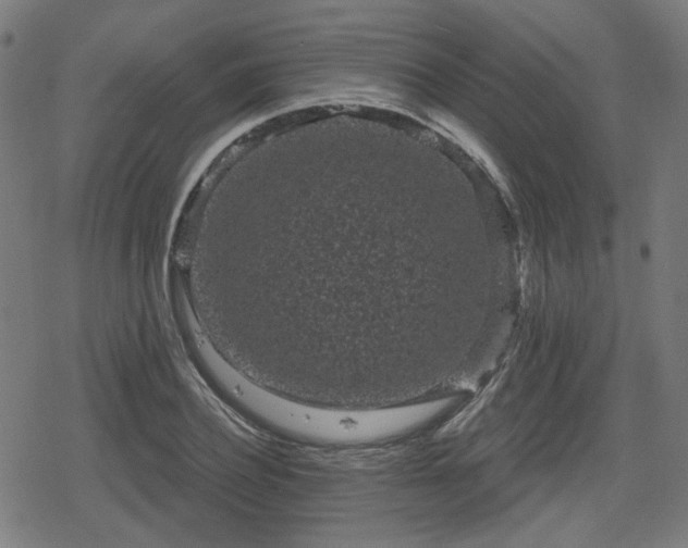 X0000078290932200611101104