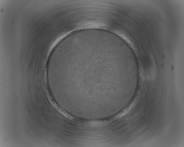 X0000078290933200611101105