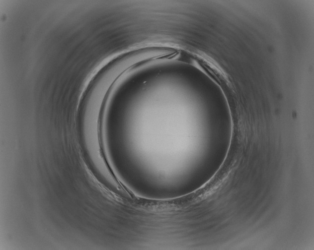 X0000078290934200611101105