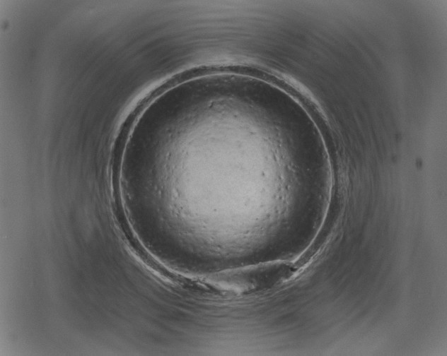 X0000078290935200611101105