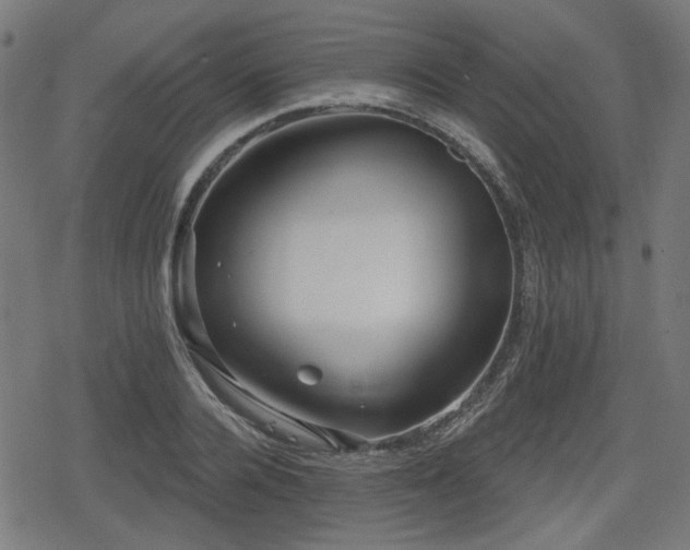 X0000078290936200611101105