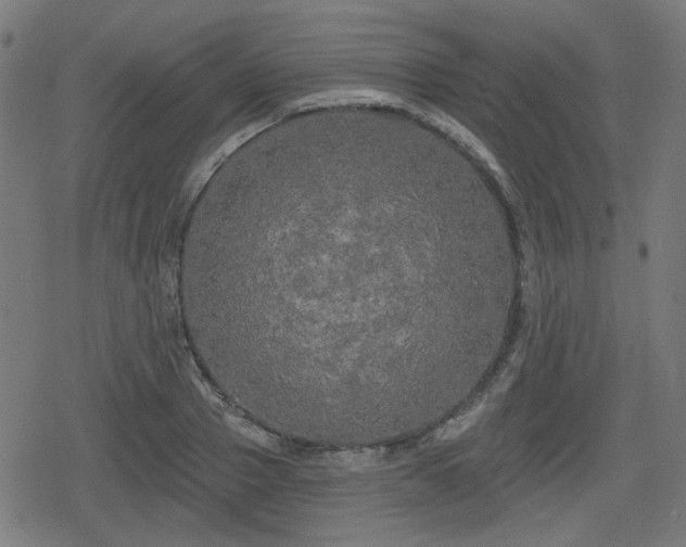 X0000078290937200611101105