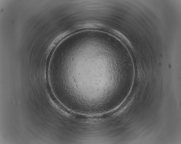 X0000078290938200611101105