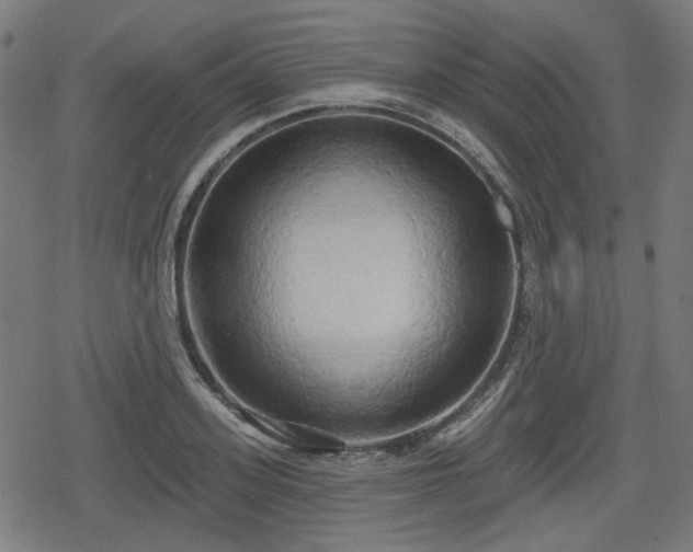 X0000078290939200611101105