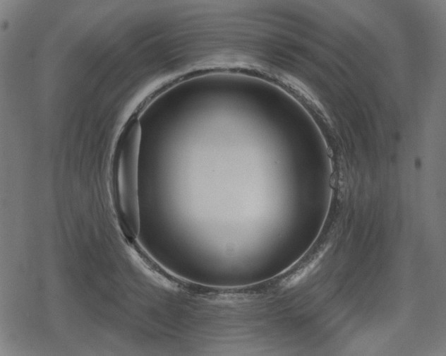 X0000078290942200611101105