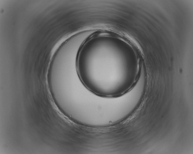 X0000078290944200611101105