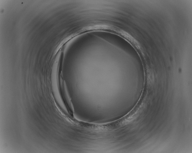 X0000078290945200611101105