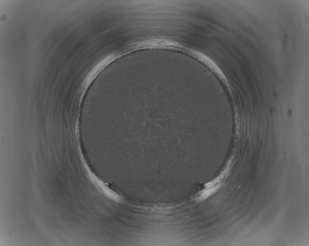 X0000078290946200611101105