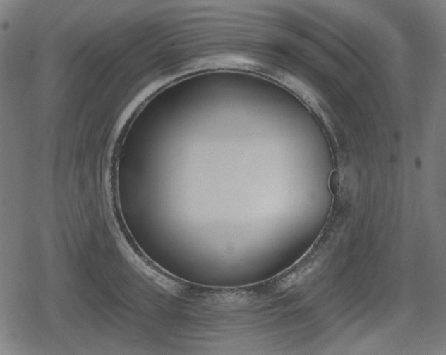 X0000078290947200611101105