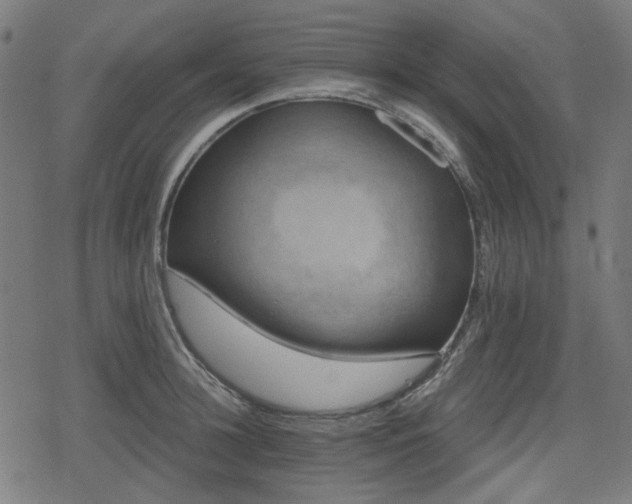 X0000078290948200611101105