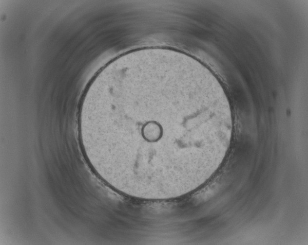 X0000078290950200611101105