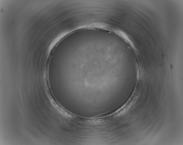 X0000078290952200611101105