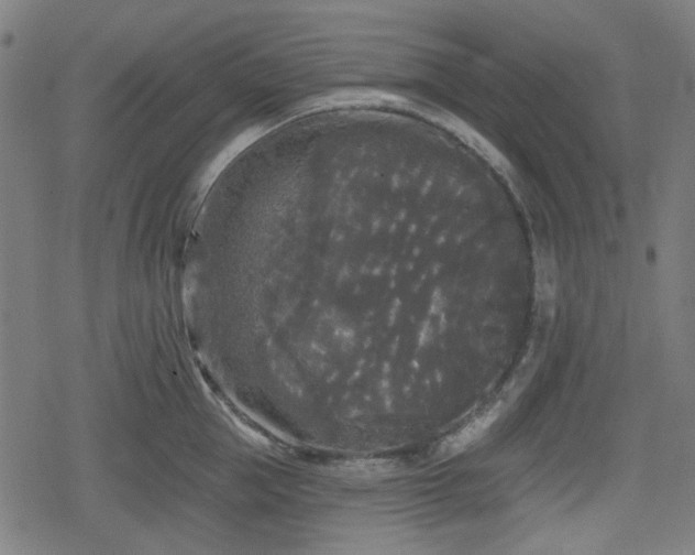 X0000078290953200611101105