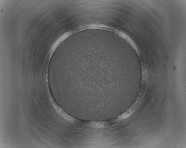 X0000078290954200611101105